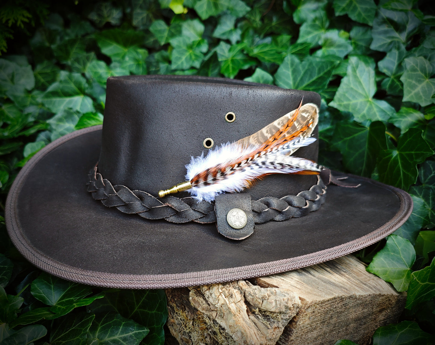 A stripy funky feather hat pin on a brown leather cowboy hat with greenery behind