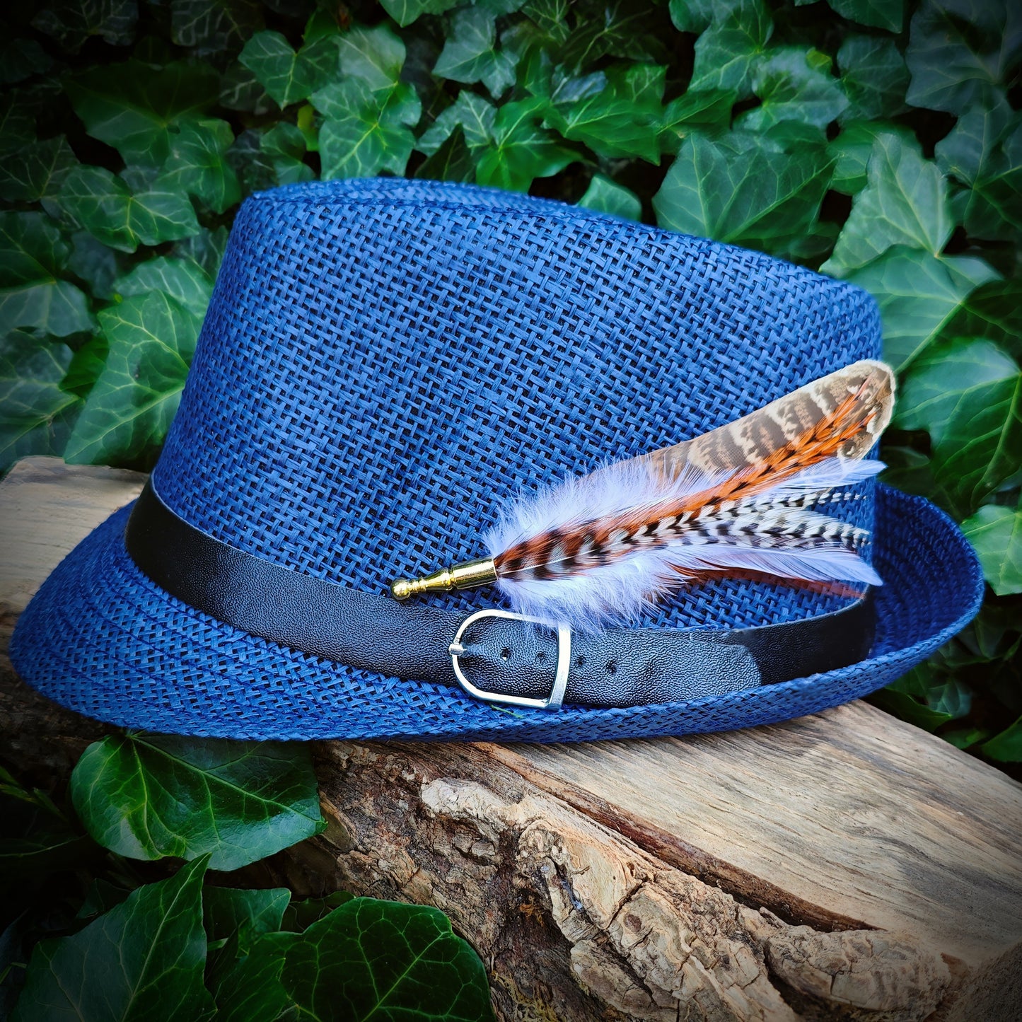 A stripy feather hat pin on a blue fedora hat with green leaves behind