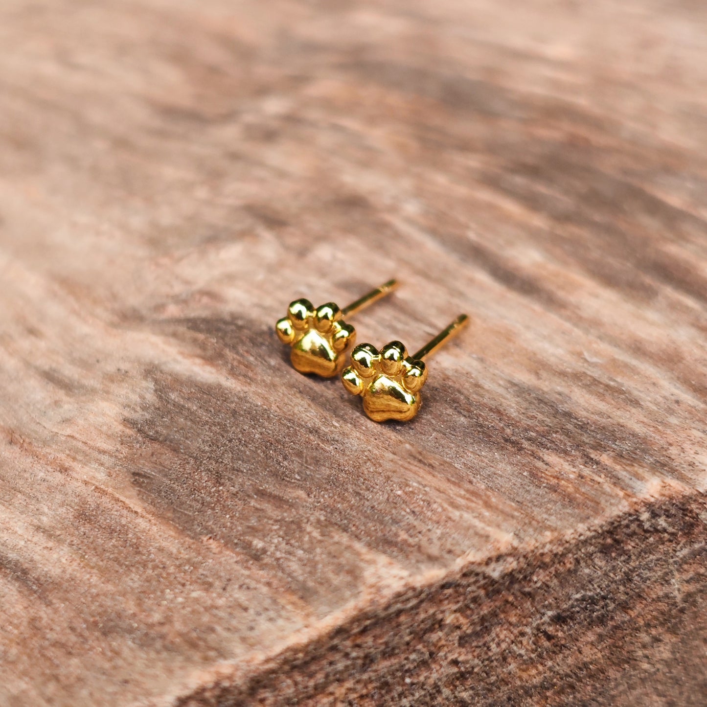 Gold paw print earrings on a wooden surface. Minimalist design.