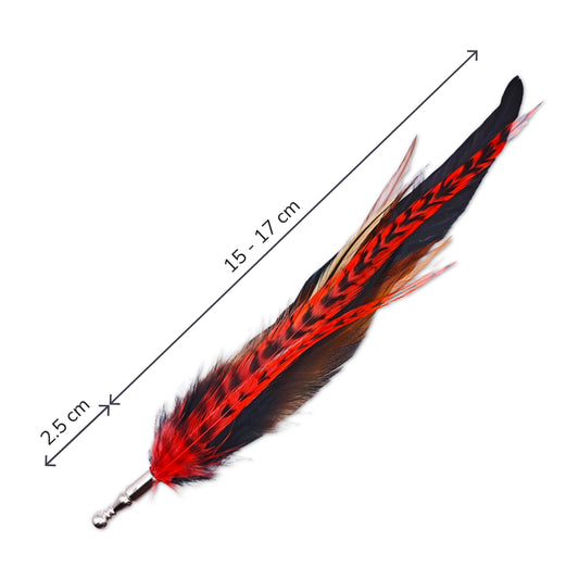 Feather hat pin with measurements on a white background