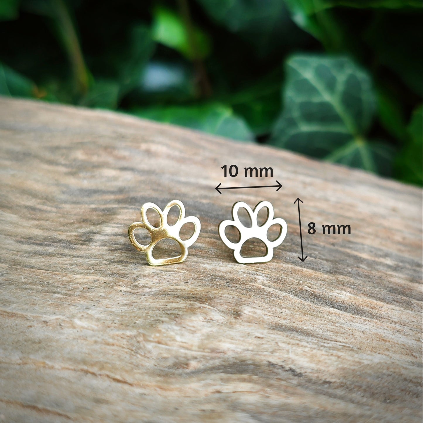 Gold paw print earrings on a wooden surface with green leaves in the background and the measurements shown.