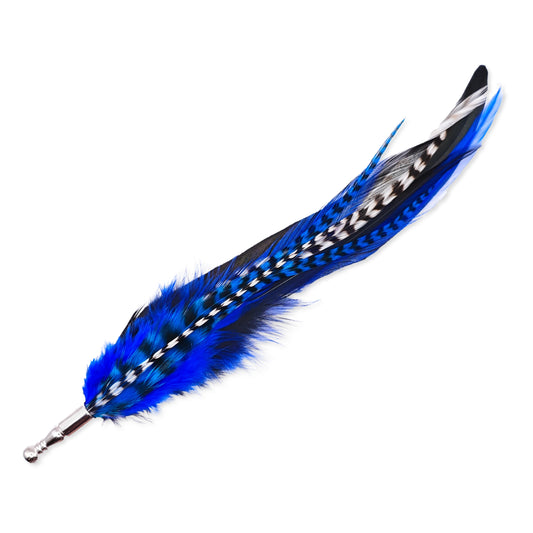 Blue, black and white stripy feather hat pin on a white background.