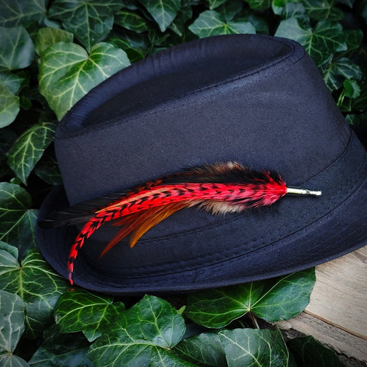 Black fedora hat with a red, brown and black stripy feather hat pin, on a green leafy background.