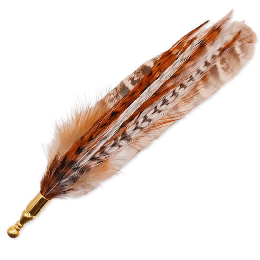 A funky stripy brown, orange and white feather hat pin.