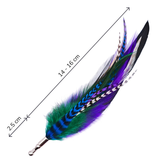 Colorful feather hat pin with measurements on a white background